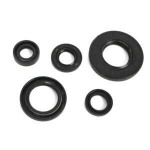 RETENES MOTOR (20x38x5 / 20x30x5 / 12x21x4 / 12x18x5 / 10x18x5) SET YAMAHA YBR 125 C EXPRESS (15-19)