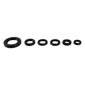 RETENES MOTOR (32x52x7 / 20x32x6 / 19.6x30x5 / 19.6x30x5 / 14x26x6) SET PARA ITALIKA ATV 150 CON REVERSA (12-19), DS 150 (05-21) / VELOCI BEAST ATV 200 (22-24), BEAST 200 R (22-24) MARCA RODA