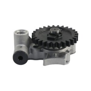 BOMBA ACEITE ITALIKA 280 Z (25)