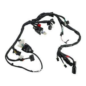 ARNES ELECTRICO HONDA XR 190 L (21-24) 12V