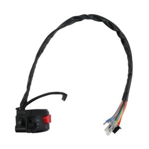 CONMUTADOR DERECHO SUZUKI EN 125 HU (07-19) (WSTD) 12V