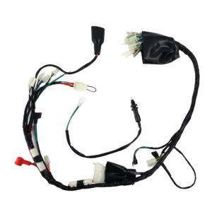 ARNES ELECTRICO ITALIKA DM 200 (07-19) 12V