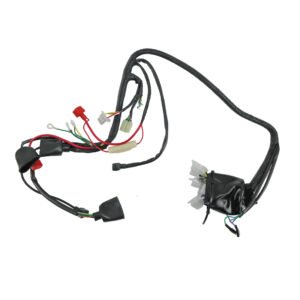 ARNES ELECTRICO ITALIKA BIT NUEVA GENERACION (24) 12V
