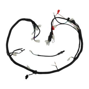 ARNES ELECTRICO ITALIKA RT 200 GP (17-19)/ RT 200 (20-24) 12V