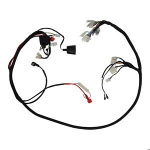 ARNES ELECTRICO ITALIKA W 150 (17-22), WS 175 (15-18), XW 150 (18-22) 12V