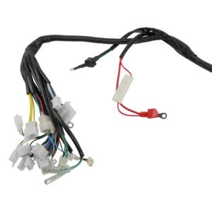 ARNES ELECTRICO ITALIKA WS 150 SPORT (INDUCIDO 12 BOBINAS)(22-25) 12V
