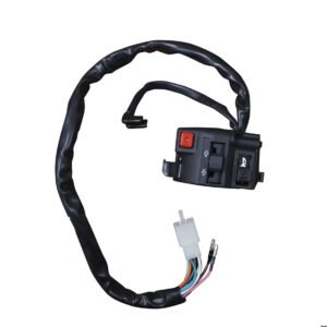 CONMUTADOR IZQUIERDO PARA VELOCI XEVERUS 250 (21) 12V MARCA RODA