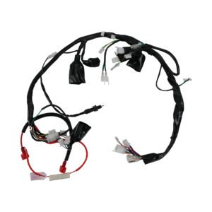 ARNES ELECTRICO PARA VELOCI RAZZER 200 (21-23) MARCA RODA