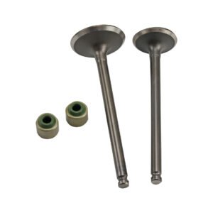 VALVULAS ADMISION Y ESCAPE SET YAMAHA RAY ZR (14-22)