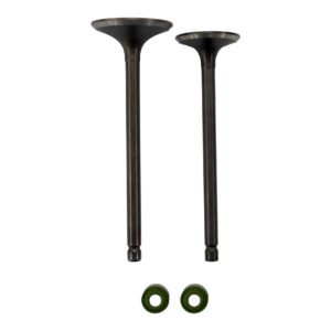 VALVULA ADMISION/ESCAPE SET HONDA CGL 125 TOOL (12-19)