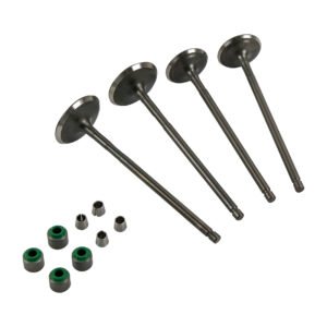 VALVULA ADMISION/ESCAPE SET BAJAJ PULSAR NS 200 (12-23) (WSTD)
