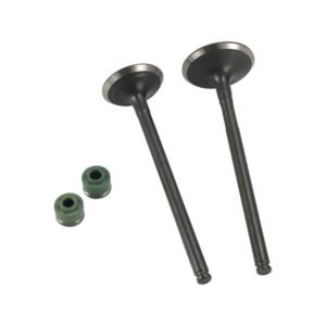VALVULA ADMISION/ESCAPE SET ITALIKA V 200 (18-22)