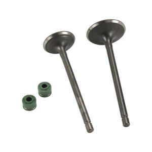 VALVULA ADMISION/ESCAPE SET ITALIKA DM 250 (20-22)