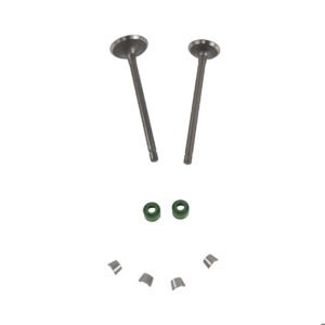 VALVULA ADMISION/ESCAPE SET ITALIKA FT 125 CLASICA (12-16)