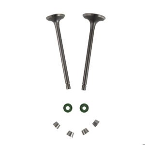 VALVULA ADMISION/ESCAPE CON SELLOS/CANDADOS SET ITALIKA 125 Z (16-19)