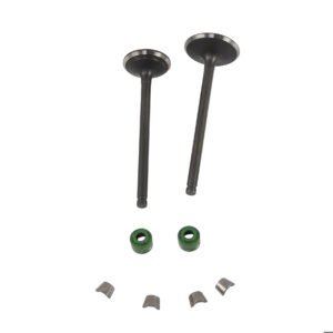 VALVULA ADMISION/ESCAPE SET ITALIKA FT 250 (15-16)
