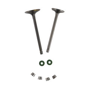 VALVULA ADMISION/ESCAPE SET ITALIKA DM 200 (07-19), TC 200 (14-16), FT 200 (14-15)