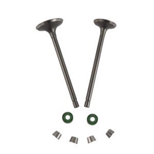 VALVULA ADMISION/ESCAPE SET ITALIKA FT 180 LED (13-18)