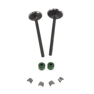 VALVULA ADMISION/ESCAPE SET ITALIKA 250 Z (14-17)