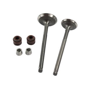 VALVULA ADMISION/ESCAPE SET ITALIKA 125 FL (19-23) / HONDA CBF 125 TWISTER (19-25) (WSTD)