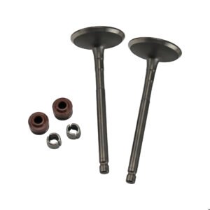 VALVULA ADMISION/ESCAPE SET ITALIKA ATV 200 (20-24)