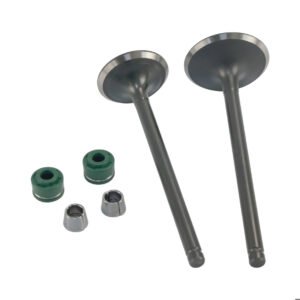 VALVULA ADMISION/ESCAPE SET ITALIKA DM 300 (25)