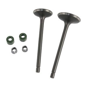 VALVULA ADMISION/ ESCAPE SET ITALIKA DM 250 (20-24)