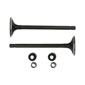 VALVULA ADMISION/ESCAPE SET VENTO CROSSMAX 200 (20-21), CROSSMAX 220 (25)