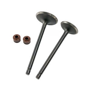 VALVULA ADMISION/ESCAPE SET PARA VENTO CROSSMAX 250 (20-25),CYCLONE 200 (20-23)/VELOCI RAZZER 200 (20-24)MARCA WSTD