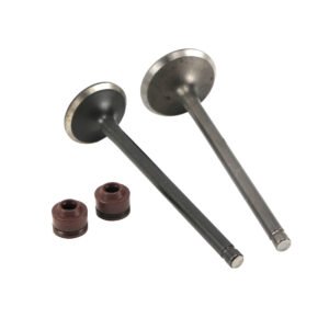 VALVULAS ADMISION Y ESCAPE PARA VELOCI BEAST 200 (22-24)MARCA RODA