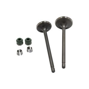 VALVULAS ADMISION/ESCAPE SET VENTO CROSSMAX 250 (20-21), CYCLONE 200 (20-21) (WSTD)