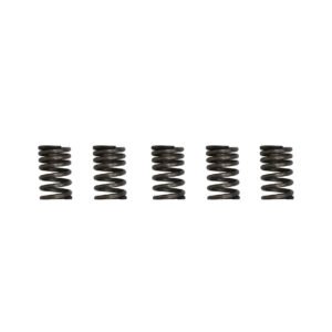 RESORTE VALVULA SET ITALIKA 125 Z (16-19), 150 SZ (16-18)