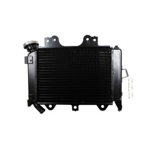 RADIADOR COMPLETO BAJAJ PULSAR NS 200 (12-24)