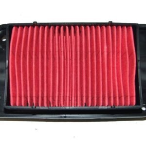 FILTRO DE AIRE (RANIX) - PARA GTS175-WS175 - WS150 SPORT - WS175 SPORT