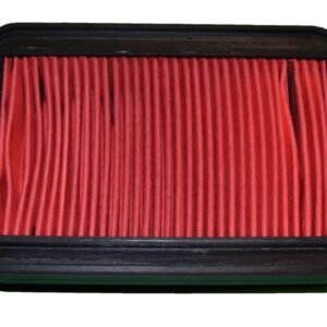 FILTRO DE AIRE (RANIX) - PARA CARGO150