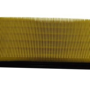 FILTRO DE AIRE (RANIX) - PARA NS200 - AS200