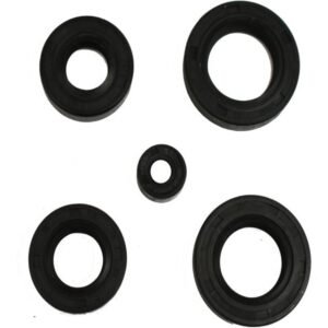 RETENES DE MOTOR - PARA HONDA CARGO 125 (5 PZAS)
