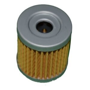 FILTRO DE ACEITE (RANIX) - PARA GN125 - EN125 - GIXXER150 - GIXXER250 - AX4 - GZ150 - BENEL 180S (2023-26) - TNT15 (2023) - CARAB R300Z