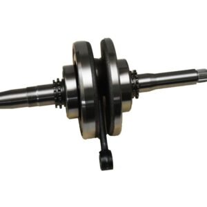 CIGUENAL (RANIX) - PARA GTS175 - WS175 - WS175 SPORT - MODENA175