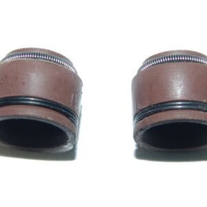 SELLOS DE VALVULA (PAR) - PARA WS150 - GS150 - ATV150 - VX150 - CS125 - DS125 - DS150 - XS125 - VITALIA125 - WS175 - GTS175