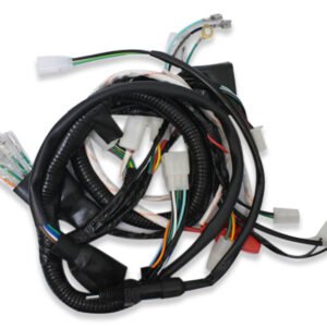 ARNES PRINCIPAL (12V) - PARA DM150 (2010-19)