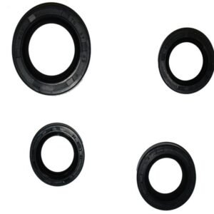 RETENES DE MOTOR - PARA DS150 DS150 DIABOLO 150 DS125 DIABOLO 125 CS125 CITY 125 XS125 WS150 WS175 TS170 GTS175