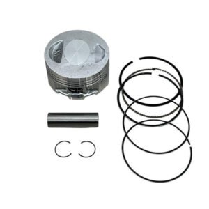 PISTON CON ANILLOS (STD) - PARA 170Z