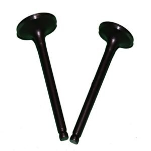 VALVULAS DE ADMISION Y ESCAPE - PARA D125 - CS125 - VITALIA125 - X125