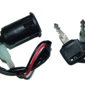 SWITCH DE 2 CABLES - PARA CARGO125