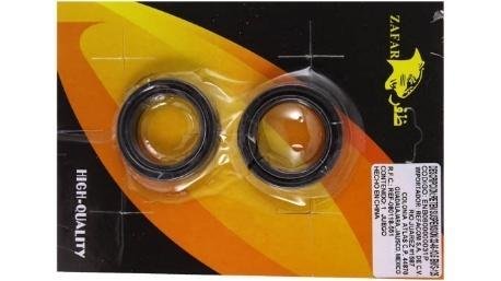 RETEN (BOLSA/50JGO) VALVULA MOTOR CS125/DS125/DS15