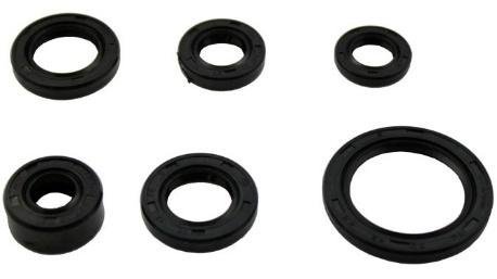 RETEN MOTOR JGO AT110 (5PZAS)