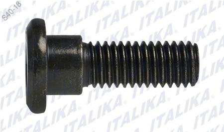 TORNILLO DISCO DE FRENO M8 X25 250Z, 250Z NEGRA, R