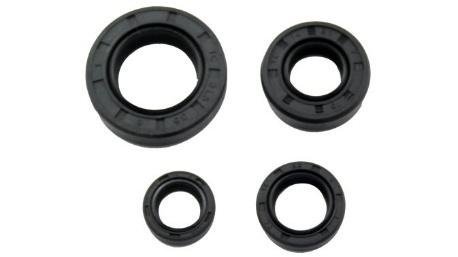 RETEN MOTOR JGO 8PZ PULSAR 200NS