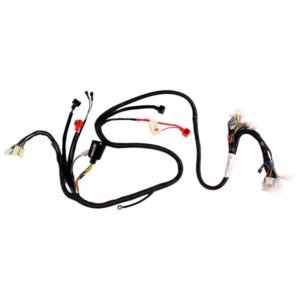 Arnes Completo 12V para IT D-150 22-24